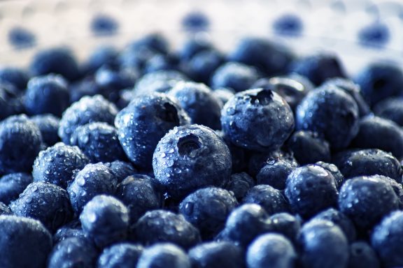 Ernährungskompetenz Blaubeeren